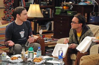 The Big Bang Theory (T5): Ep.16 La solución a las vacaciones