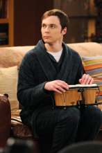 The Big Bang Theory (T5)