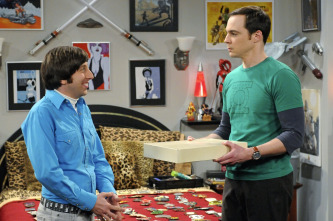 The Big Bang Theory (T5)