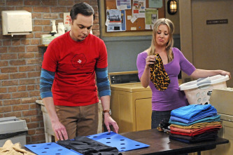 The Big Bang Theory (T5)
