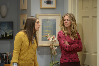 The Big Bang Theory (T5): Ep.22 La convergencia del macho solitario