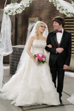 The Big Bang Theory (T5)