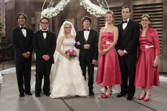 The Big Bang Theory (T5)