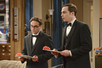 The Big Bang Theory (T5)