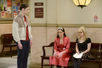 The Big Bang Theory (T5)