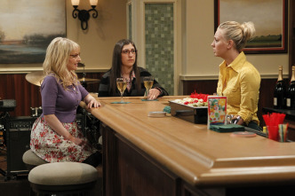 The Big Bang Theory (T6): Ep.5 La excitación holográfica