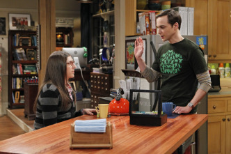 The Big Bang Theory (T6): Ep.5 La excitación holográfica