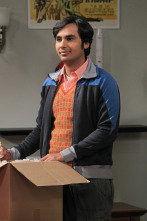 The Big Bang Theory (T6)