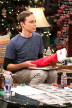 The Big Bang Theory (T6)