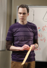 The Big Bang Theory (T6): Ep.14 La inversión Cooper-Kripke