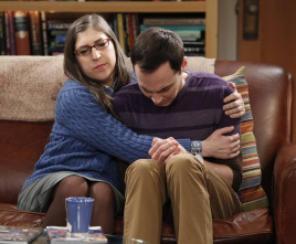 The Big Bang Theory (T6): Ep.14 La inversión Cooper-Kripke