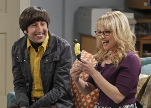 The Big Bang Theory (T6): Ep.14 La inversión Cooper-Kripke