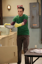The Big Bang Theory (T6)