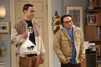 The Big Bang Theory (T6)