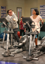 The Big Bang Theory (T6)