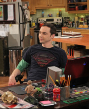 The Big Bang Theory (T6): Ep.21 La alternativa de la finalización