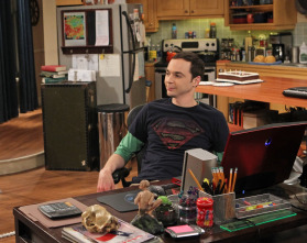 The Big Bang Theory (T6): Ep.21 La alternativa de la finalización