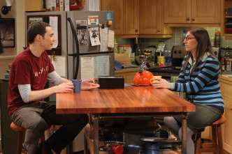 The Big Bang Theory (T6): Ep.21 La alternativa de la finalización