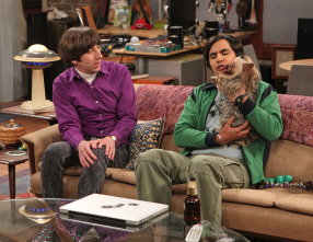 The Big Bang Theory (T6): Ep.21 La alternativa de la finalización