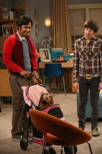 The Big Bang Theory (T6): Ep.22 La resurgencia del protón