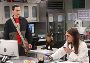 The Big Bang Theory (T7)