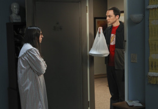 The Big Bang Theory (T7)