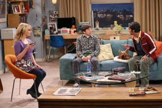 The Big Bang Theory (T7): Ep.10 La disipación del descubrimiento