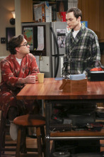 The Big Bang Theory (T7): Ep.12 La ramificación de la indecisión