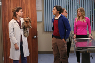 The Big Bang Theory (T7): Ep.15 La manipulación de la locomoción
