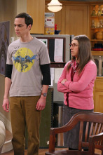 The Big Bang Theory (T7)