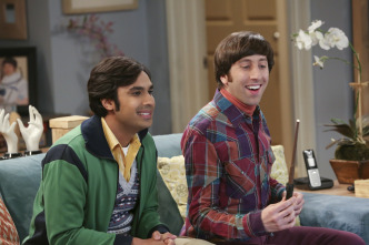 The Big Bang Theory (T7)