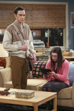 The Big Bang Theory (T7)