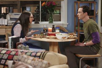 The Big Bang Theory (T7)