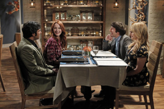 The Big Bang Theory (T7): Ep.20 La disjunción de la relación