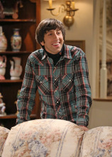 The Big Bang Theory (T7)