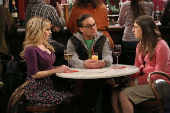 The Big Bang Theory (T7)