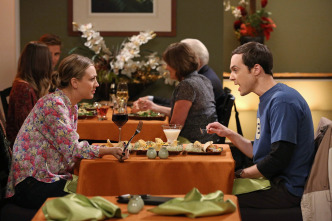 The Big Bang Theory (T7)