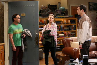 The Big Bang Theory (T7)
