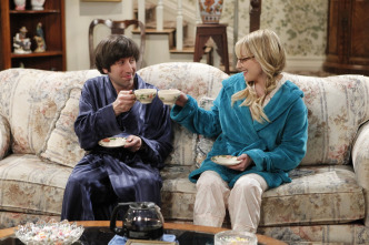 The Big Bang Theory (T7): Ep.23 La disolución del gorila