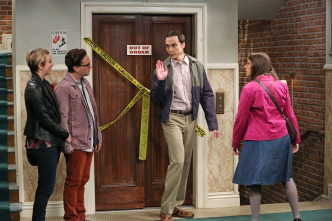 The Big Bang Theory (T8)