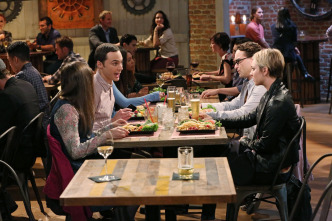 The Big Bang Theory (T8)
