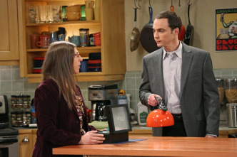 The Big Bang Theory (T8)