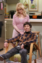 The Big Bang Theory (T8)