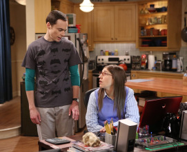 The Big Bang Theory (T8): Ep.6 La aproximación de la expedición