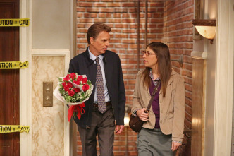 The Big Bang Theory (T8): Ep.7 La agitación de la malinterpretación