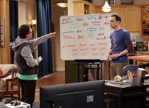 The Big Bang Theory (T8)