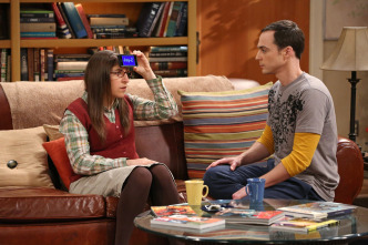 The Big Bang Theory (T8)