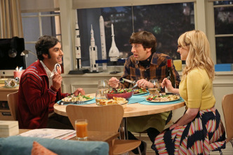 The Big Bang Theory (T8)