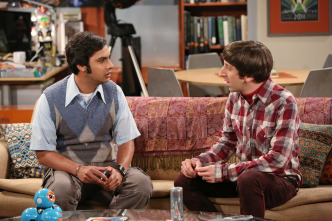 The Big Bang Theory (T8)