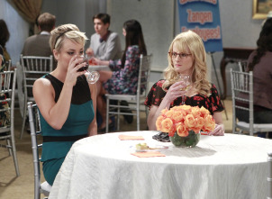 The Big Bang Theory (T8): Ep.10 La reflexión del champán